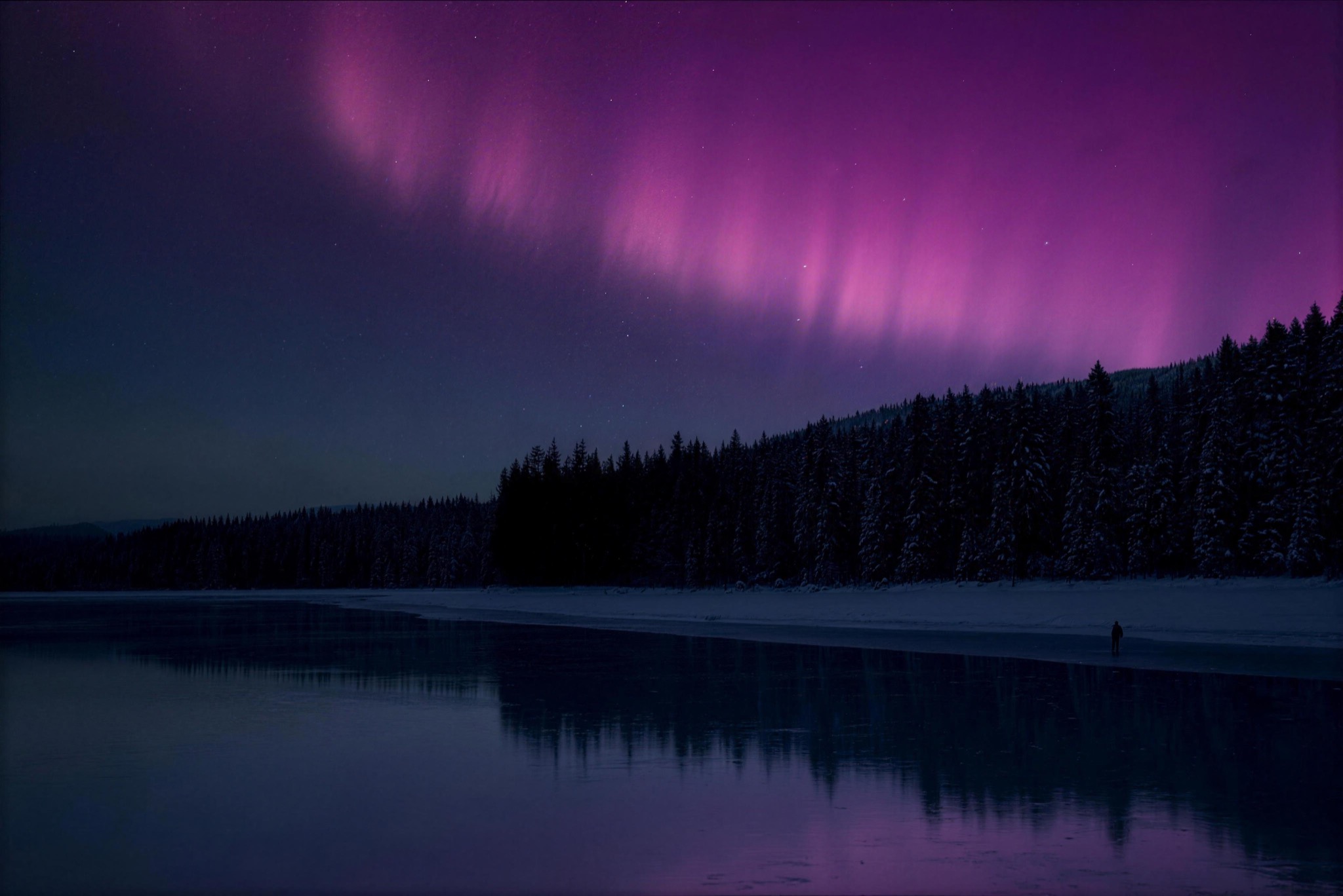 Pink and violet aurora over a forest lake