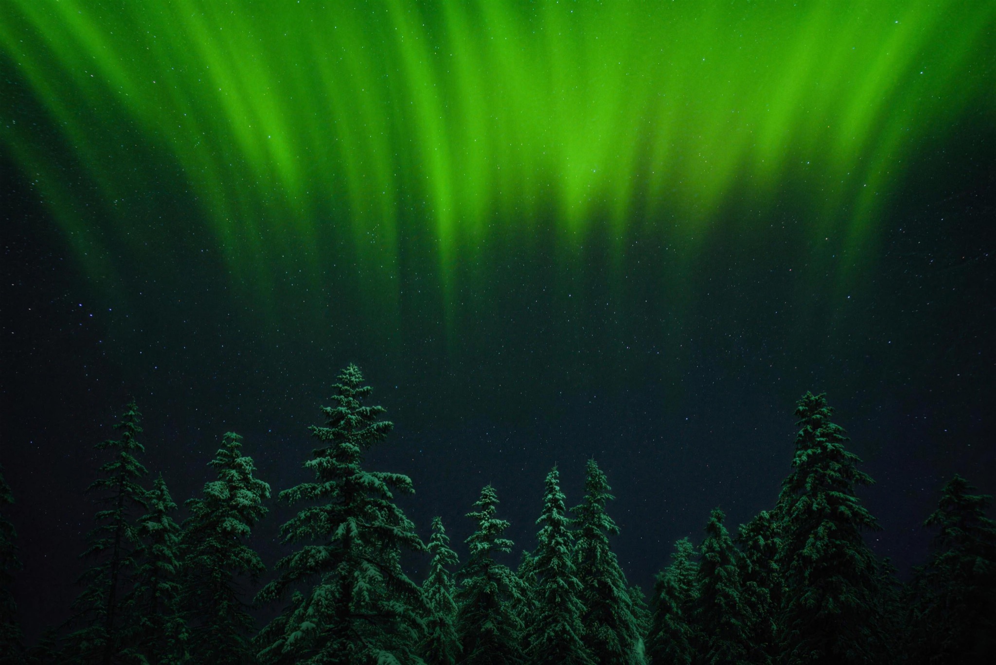 Aurora over the Boden forest, Norrbotten