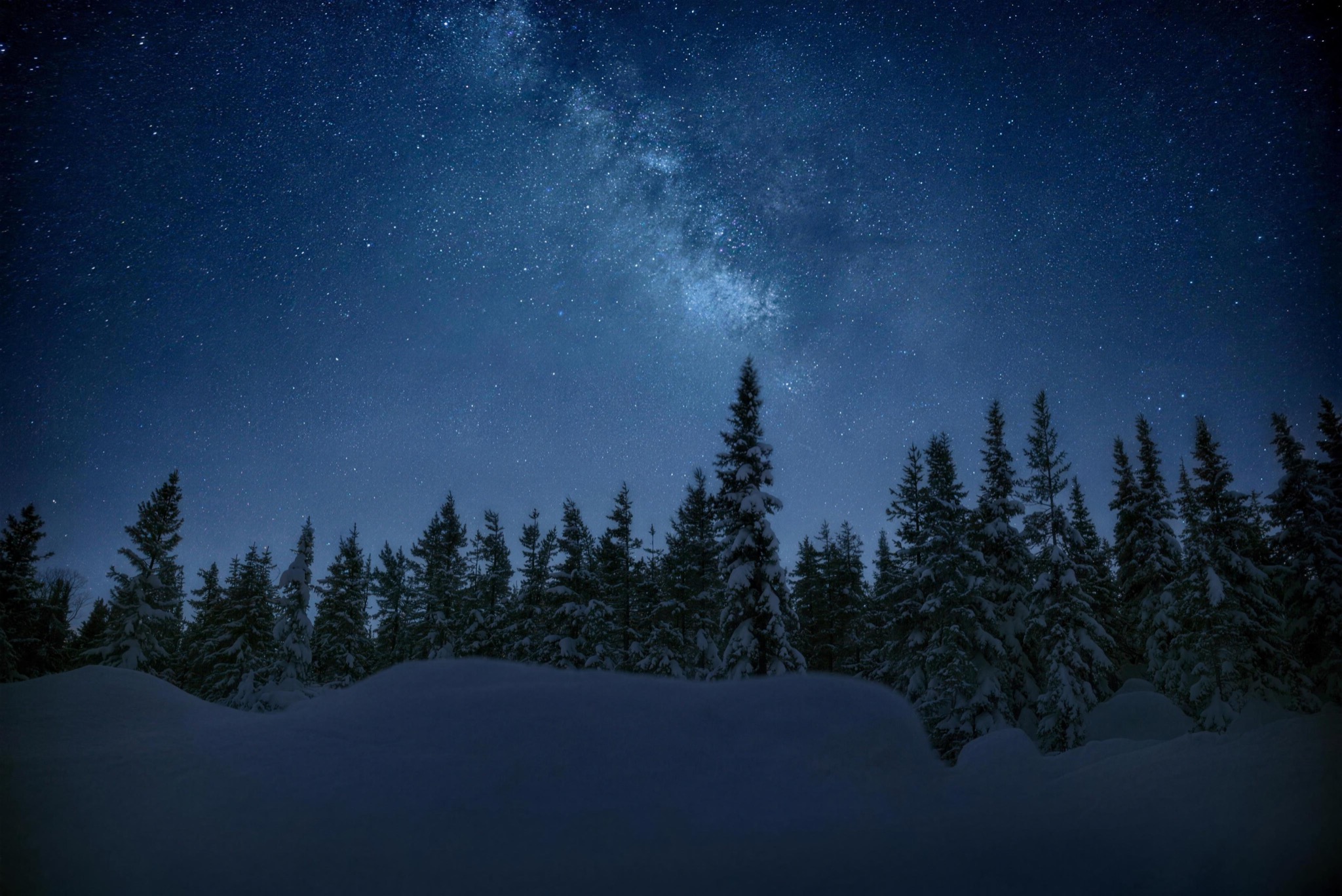 The Milky Way over snowy forest