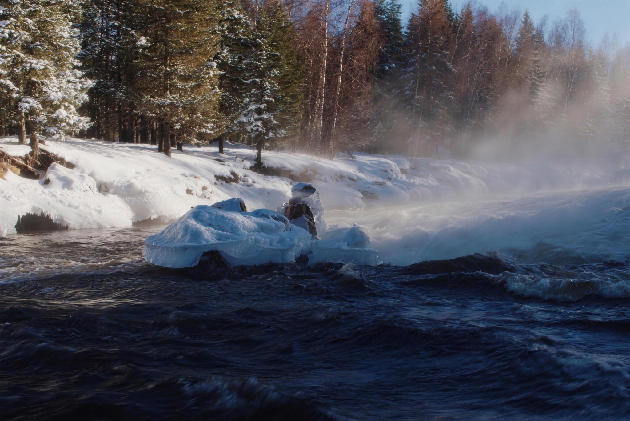 Icy rapids of a forest river