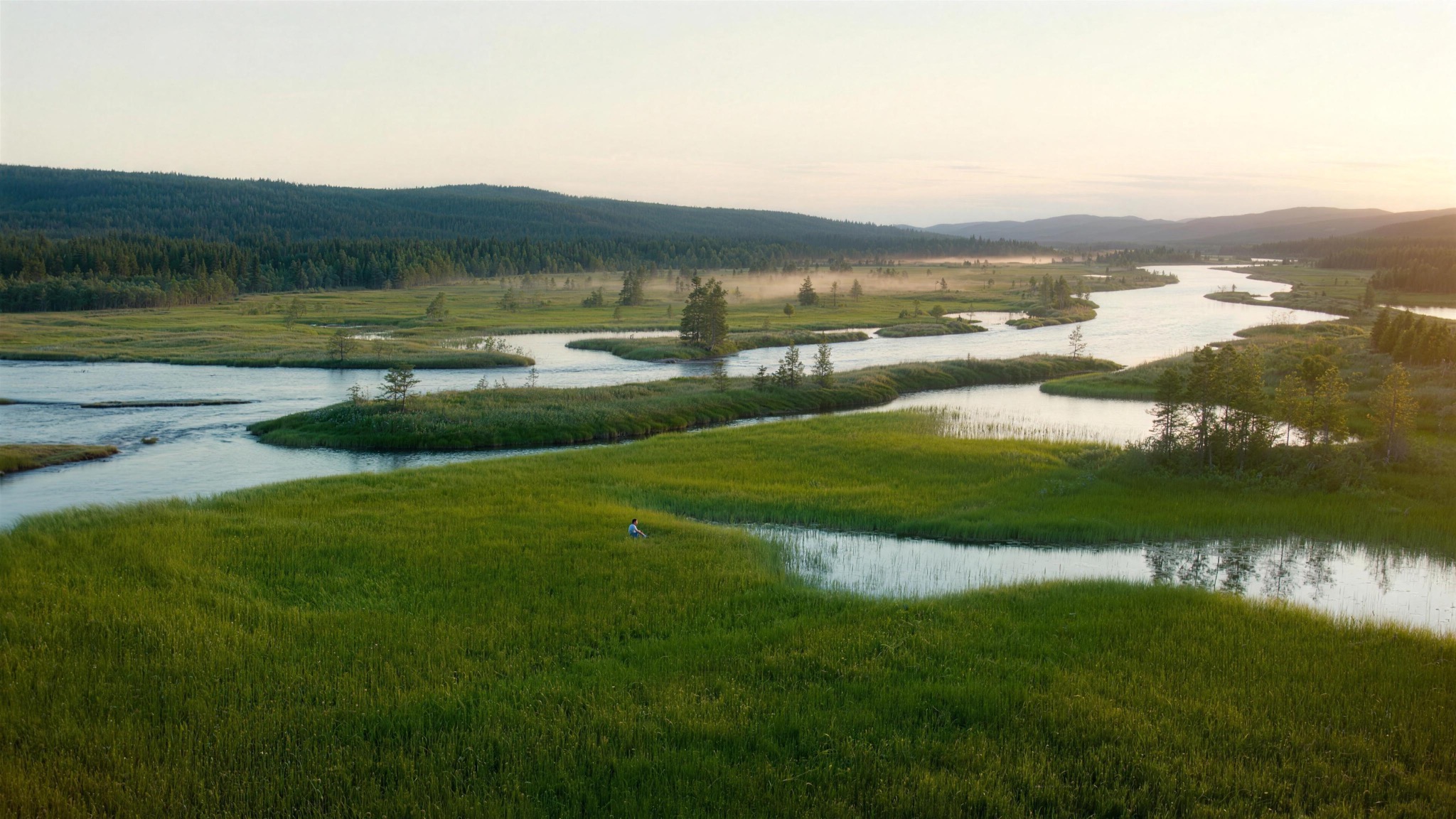 A forest river winding through the taiga