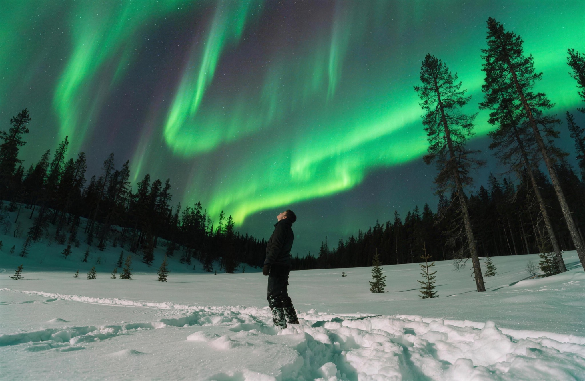 Alone under the polar light