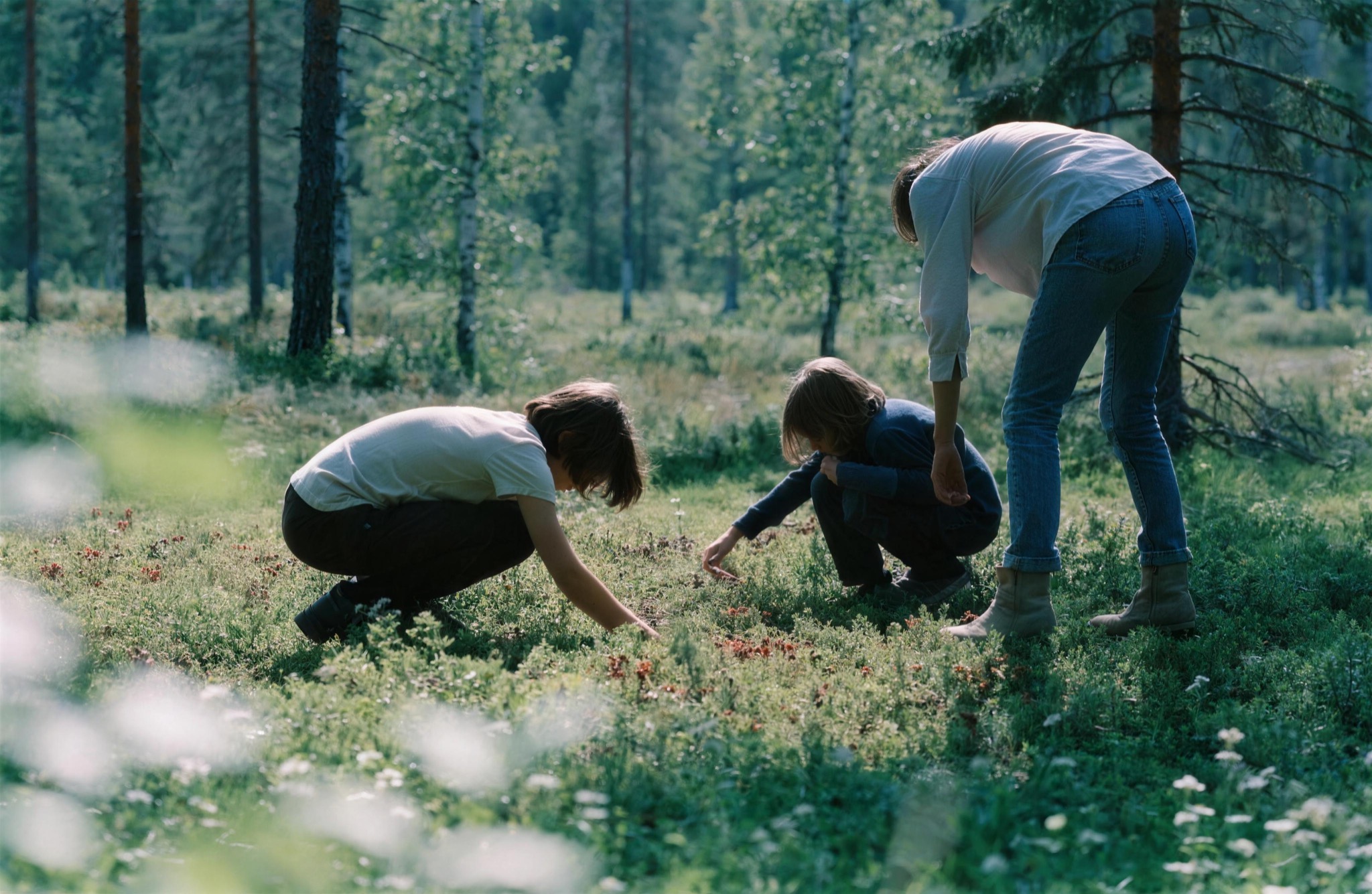 A family picking berries