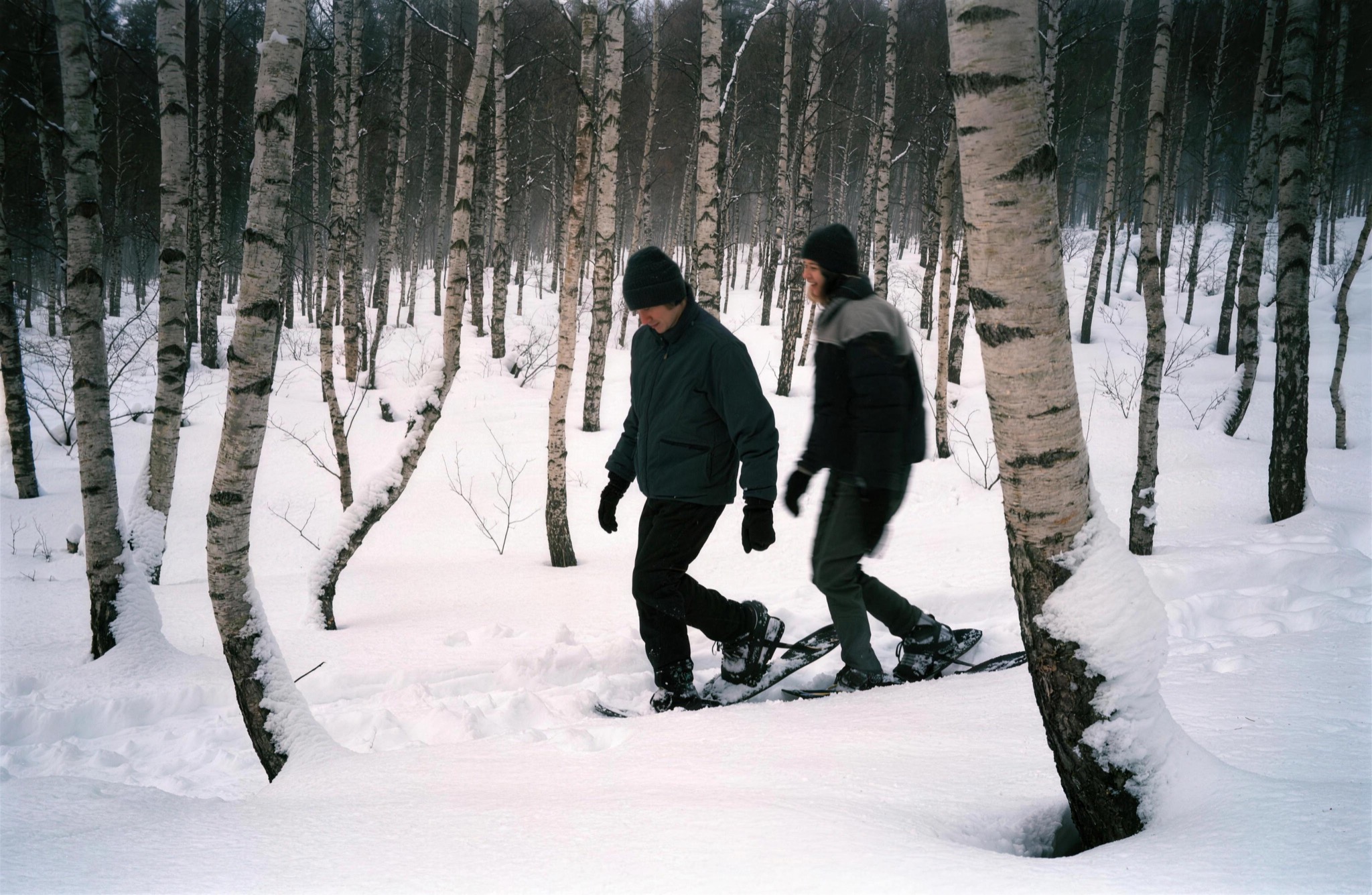 Snowshoeing in a birch forest