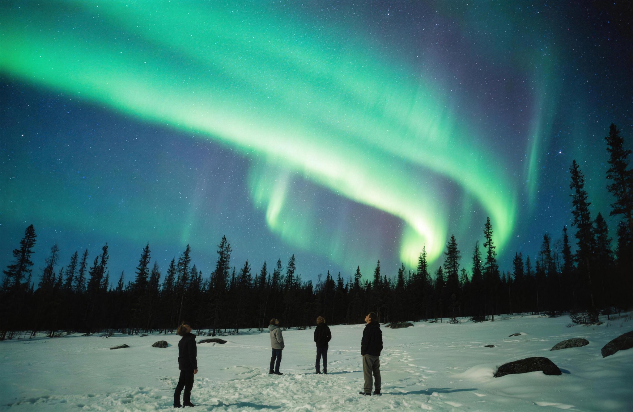 Guests gazing up at the aurora in Norrbotten
