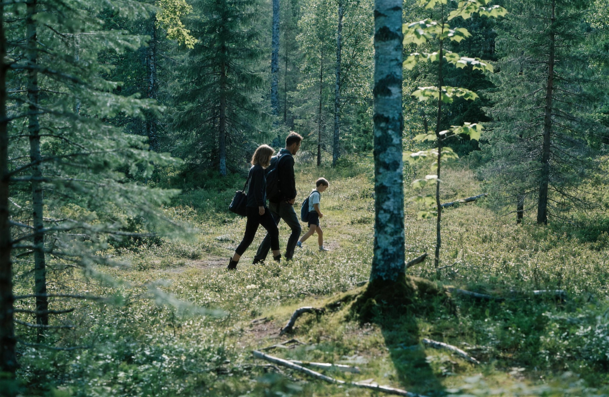 A family hiking the summer forest